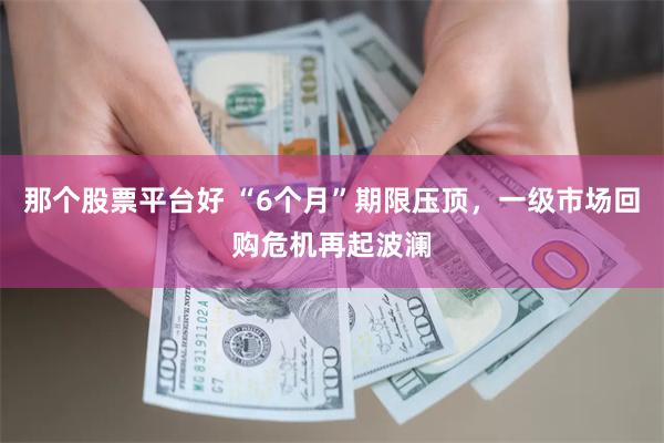 那个股票平台好 “6个月”期限压顶，一级市场回购危机再起波澜