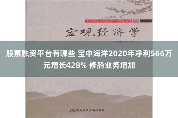 股票融资平台有哪些 宝中海洋2020年净利566万元增长428% 修船业务增加