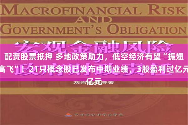 配资股票抵押 多地政策助力，低空经济有望“振翅高飞”！21只概念股已发布中期业绩，3股盈利过亿元