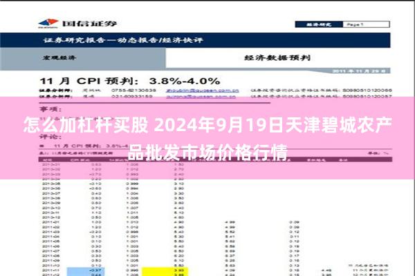 怎么加杠杆买股 2024年9月19日天津碧城农产品批发市场价格行情