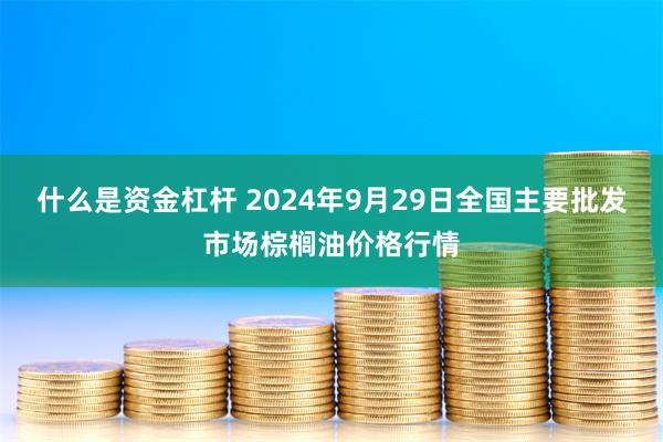 什么是资金杠杆 2024年9月29日全国主要批发市场棕榈油价格行情