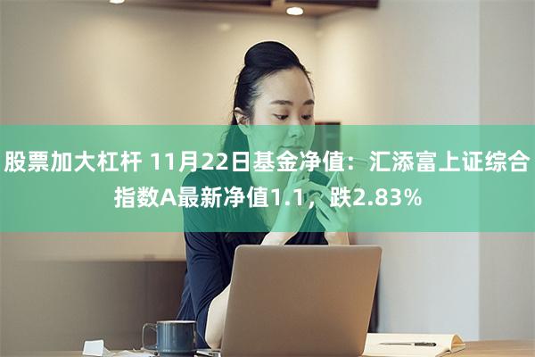 股票加大杠杆 11月22日基金净值：汇添富上证综合指数A最新净值1.1，跌2.83%