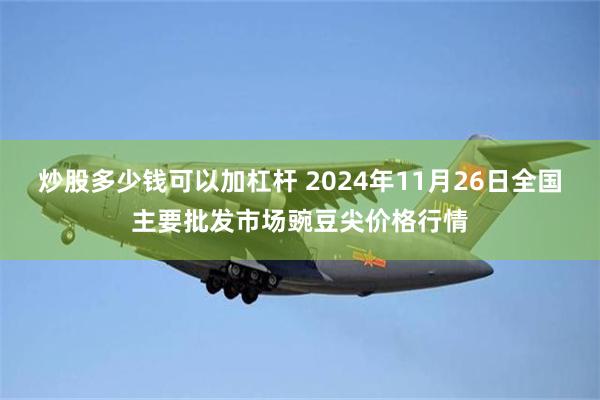 炒股多少钱可以加杠杆 2024年11月26日全国主要批发市场豌豆尖价格行情