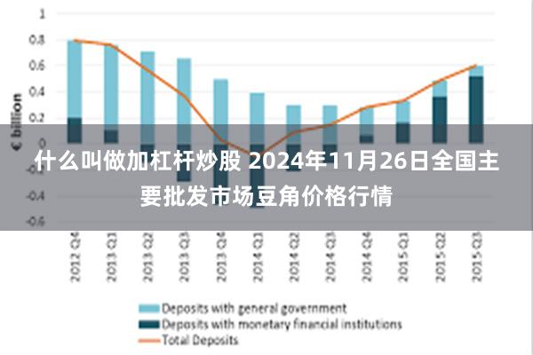 什么叫做加杠杆炒股 2024年11月26日全国主要批发市场豆角价格行情