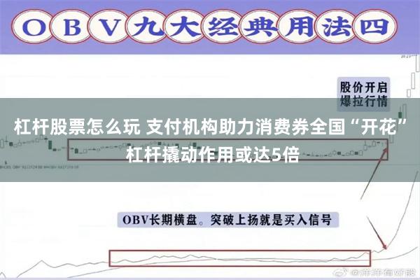 杠杆股票怎么玩 支付机构助力消费券全国“开花” 杠杆撬动作用或达5倍