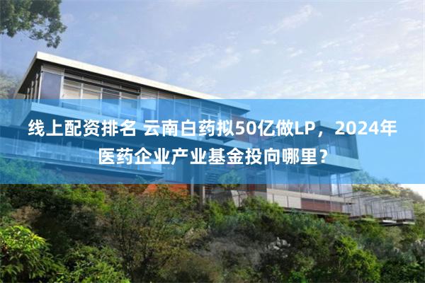 线上配资排名 云南白药拟50亿做LP，2024年医药企业产业基金投向哪里？