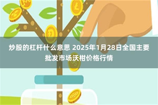 炒股的杠杆什么意思 2025年1月28日全国主要批发市场沃柑价格行情