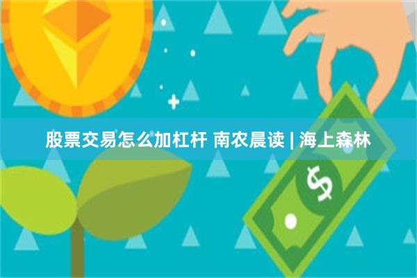 股票交易怎么加杠杆 南农晨读 | 海上森林