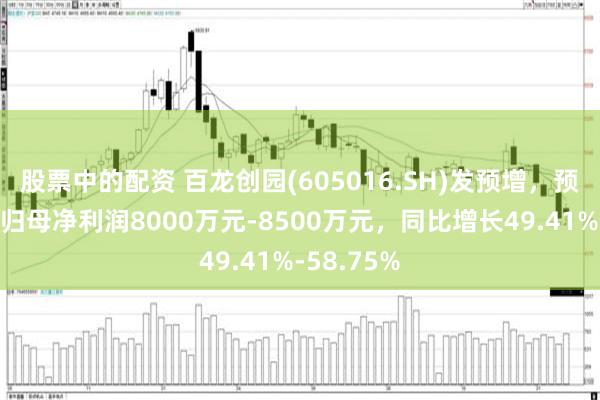 股票中的配资 百龙创园(605016.SH)发预增，预计一季度归母净利润8000万元-8500万元，同比增长49.41%-58.75%