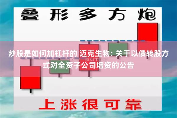 炒股是如何加杠杆的 迈克生物: 关于以债转股方式对全资子公司增资的公告