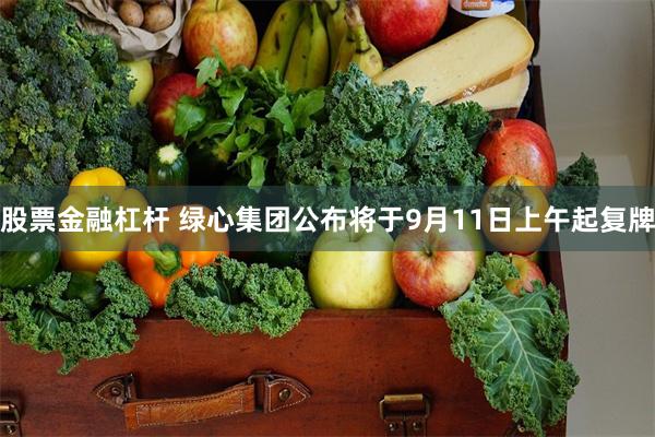 股票金融杠杆 绿心集团公布将于9月11日上午起复牌